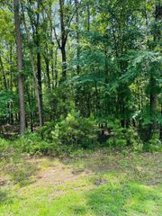 Lot 39 Primrose Creek, Heber Springs, AR 72543