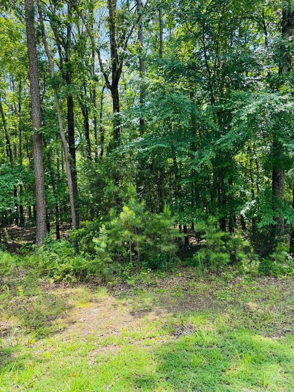 Lot 39 Primrose Creek, Heber Springs, AR 72543
