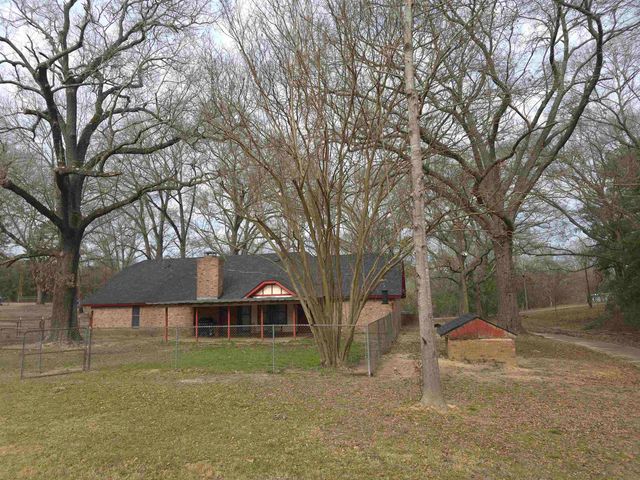 595 County Road 1100, Daingerfield, TX 75638