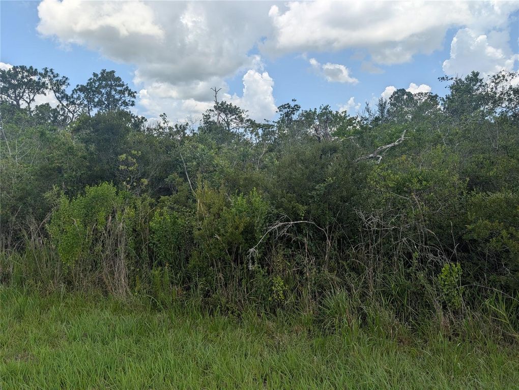 314 CAMELLIA DRIVE, Indian Lake Estates, FL 33855