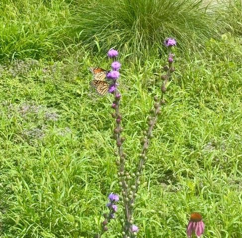 5733 13th Avenue S, Minneapolis, MN 55417