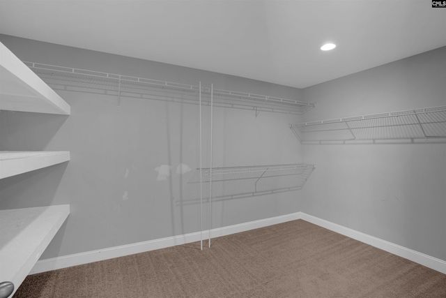 309 Meadow Saffron Drive, Lexington, SC 29073