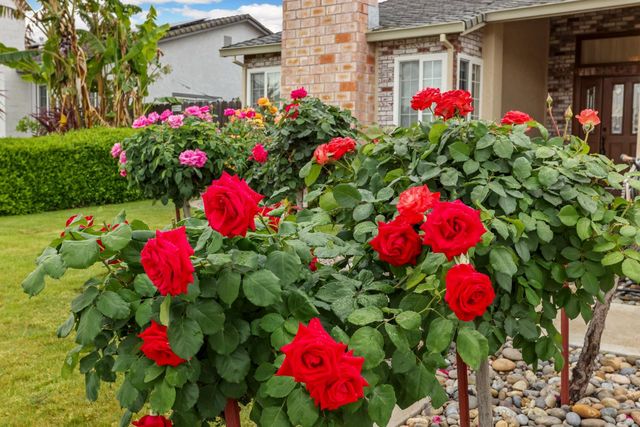 929 Kapareil Dr, Tracy, CA 95376