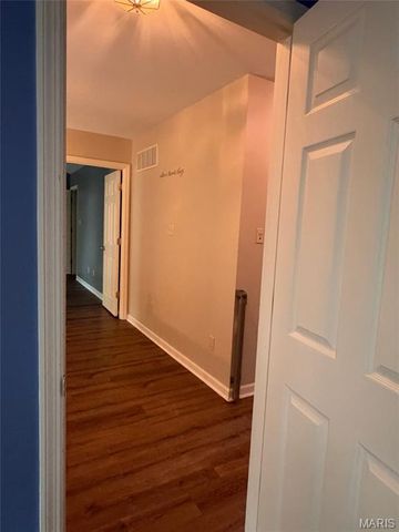 7377 Little Oaks Drive, O'fallon, MO 63368