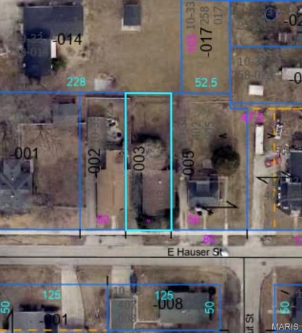 609 E Hauser Street, Litchfield, IL 62056