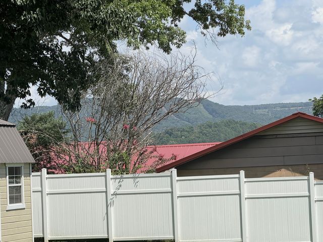 1220 Doctor Lee Avenue, Bridgeport, AL 35740