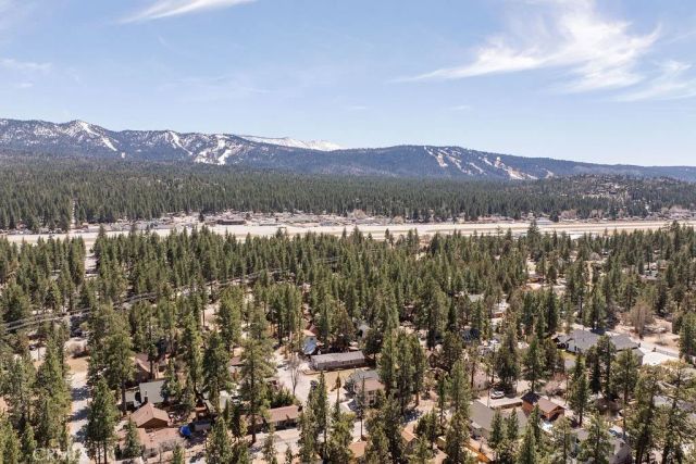 1017 Nana Avenue, Big Bear, CA 92314