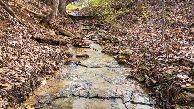 202 Stoneside Ct, Taylorsville, KY 40071