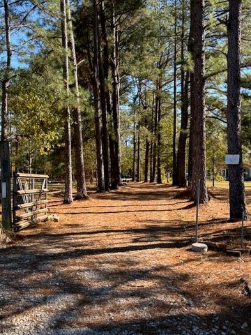 131 Marks Walden Rd Road, Blythe, GA 30805