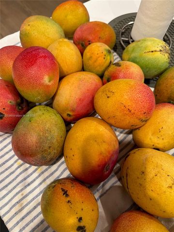 7915 SW 23rd St, Miami, FL 33155