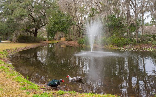 2669 Broad St, Beaufort, SC 29902