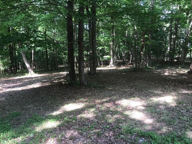 503 Wilderness Way 503, Dunlap, TN 37327