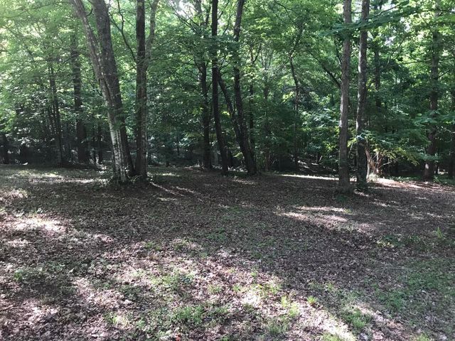 503 Wilderness Way 503, Dunlap, TN 37327