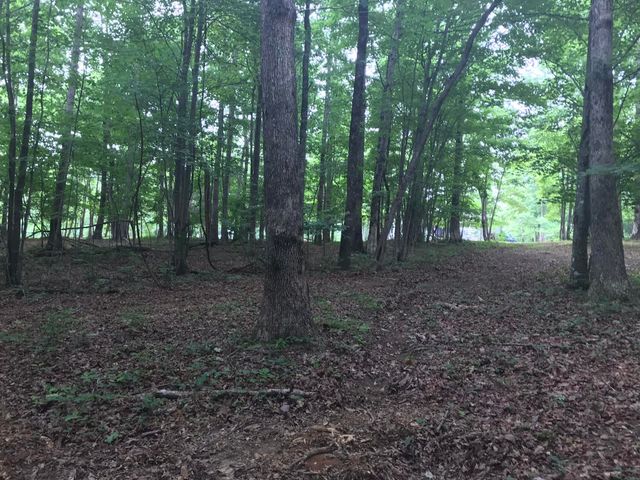 503 Wilderness Way 503, Dunlap, TN 37327