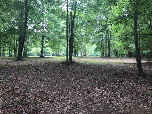 503 Wilderness Way 503, Dunlap, TN 37327