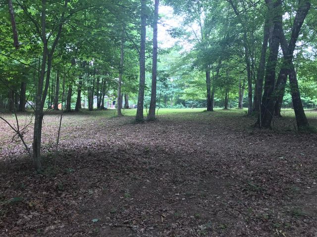 503 Wilderness Way 503, Dunlap, TN 37327