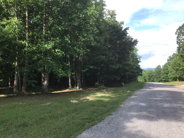503 Wilderness Way 503, Dunlap, TN 37327
