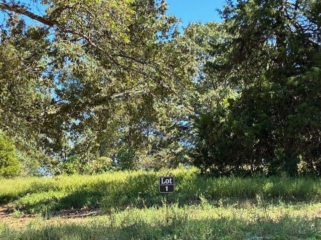 3200 Hunziker Lane, Fairview, TN 37062