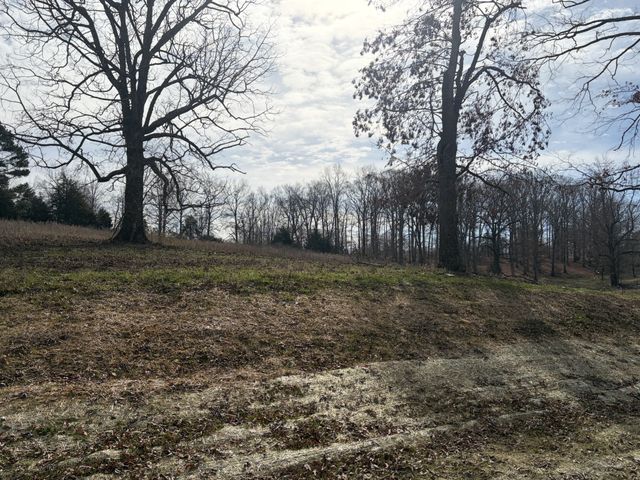 3200 Hunziker Lane, Fairview, TN 37062