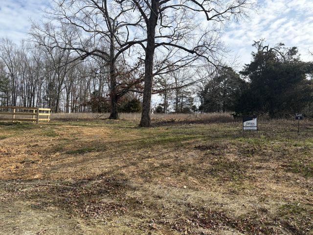 3200 Hunziker Lane, Fairview, TN 37062