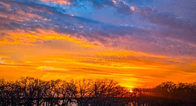 347 Pine Road, Nocona, TX 76255