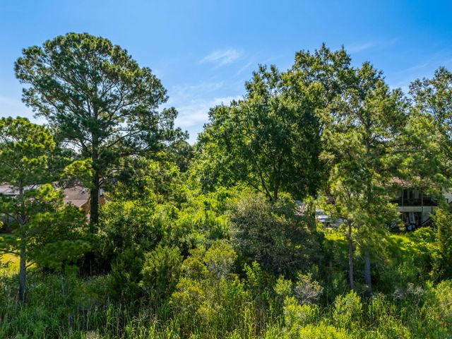 821 Longbranch Drive, Charleston, SC 29414