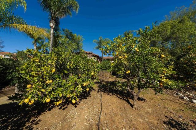 14790 Hidden Trail Way, Jamul, CA 91935