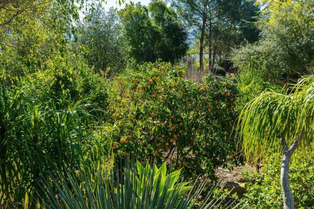 14790 Hidden Trail Way, Jamul, CA 91935