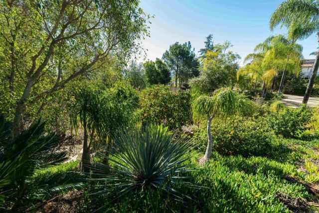 14790 Hidden Trail Way, Jamul, CA 91935