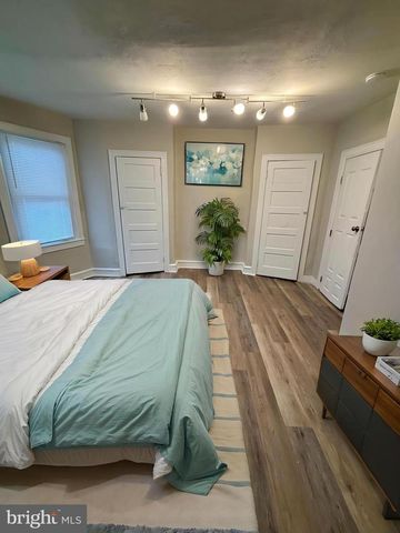 441 W RAYMOND ST, Philadelphia, PA 19140