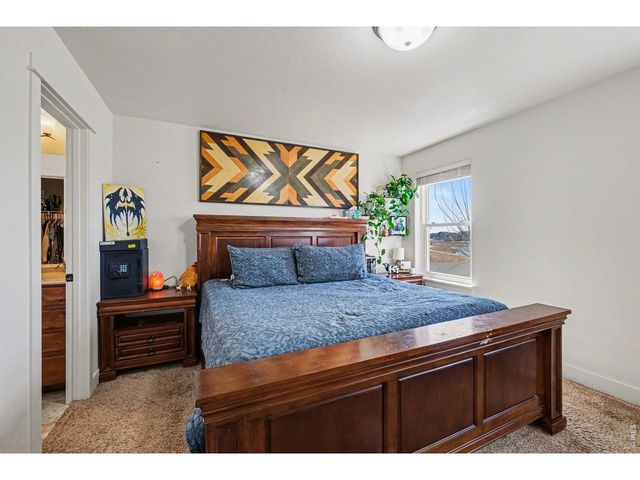 915 Barasingha St, Severance, CO 80550