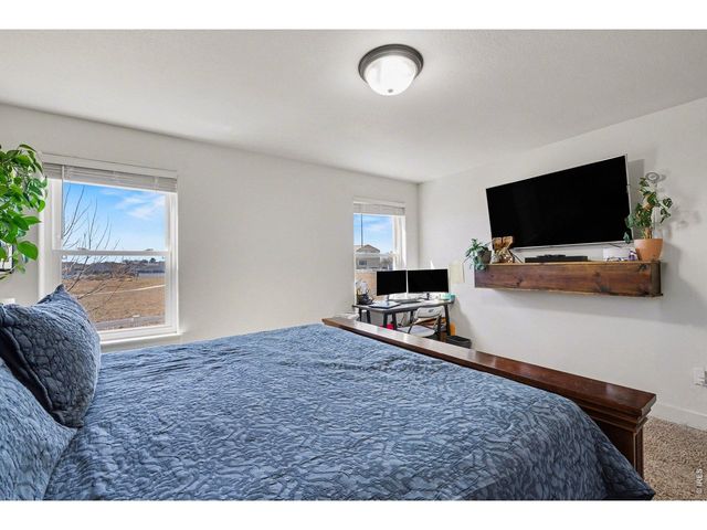 915 Barasingha St, Severance, CO 80550