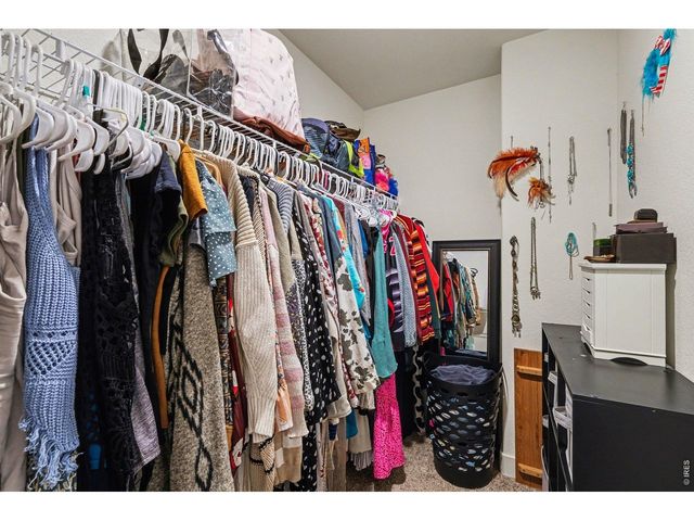 915 Barasingha St, Severance, CO 80550