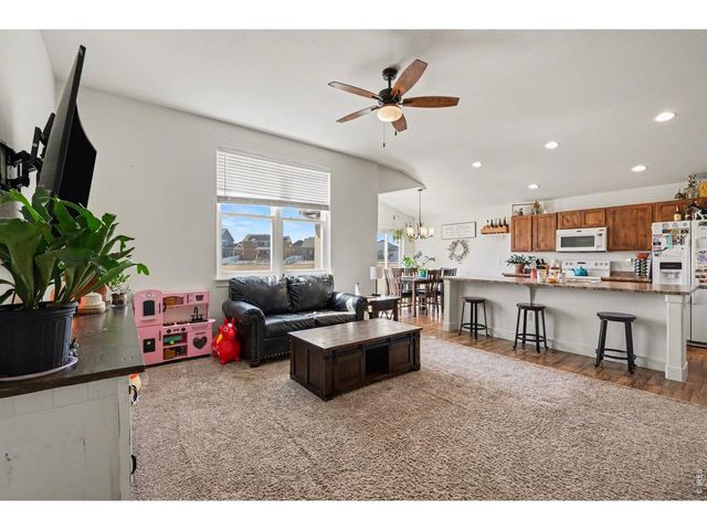 915 Barasingha St, Severance, CO 80550