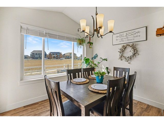 915 Barasingha St, Severance, CO 80550