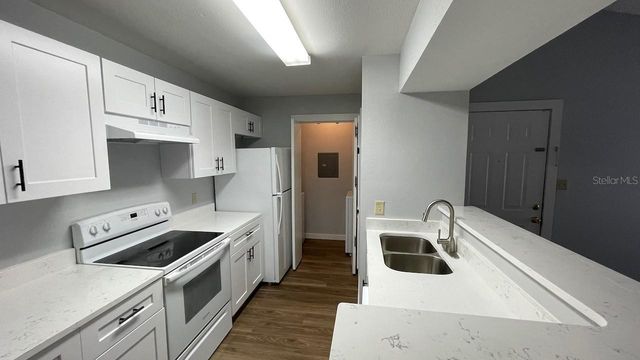 4225 THORNBRIAR LANE 201, Orlando, FL 32822