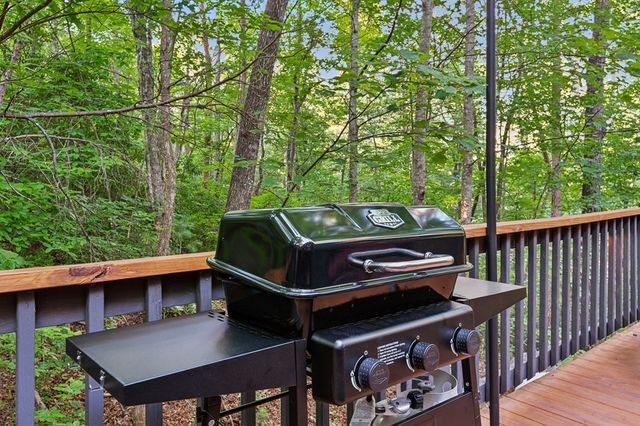 889 Granny Branch, Blue Ridge, GA 30513