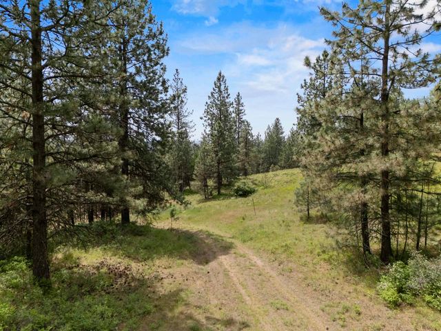 NNA N Jack Ln, Chattaroy, WA 99003