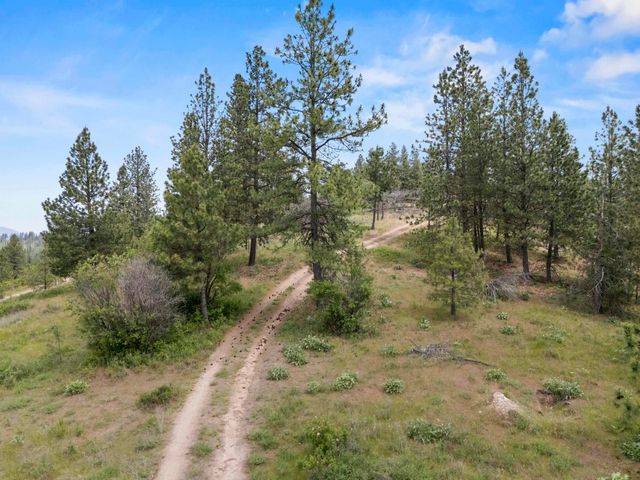 NNA N Jack Ln, Chattaroy, WA 99003