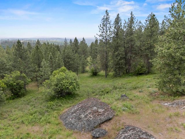 NNA N Jack Ln, Chattaroy, WA 99003