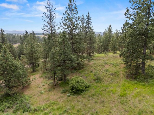 NNA N Jack Ln, Chattaroy, WA 99003