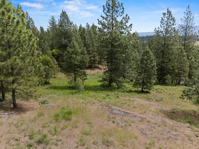 NNA N Jack Ln, Chattaroy, WA 99003