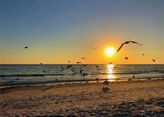 1350 MAIN STREET 302, Sarasota, FL 34236
