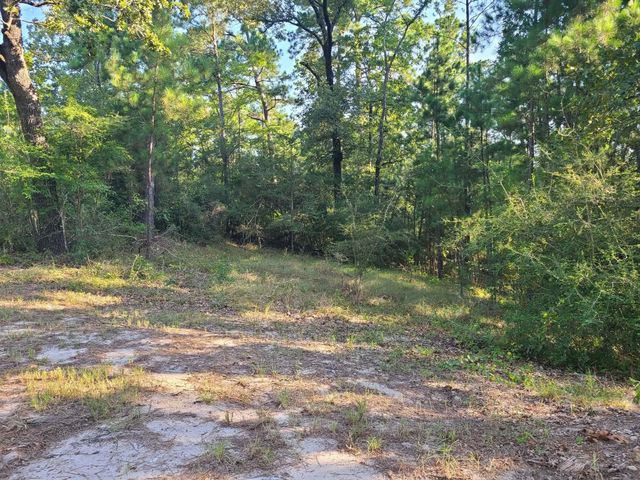 190 Michaels Lane, Huntsville, TX 77320
