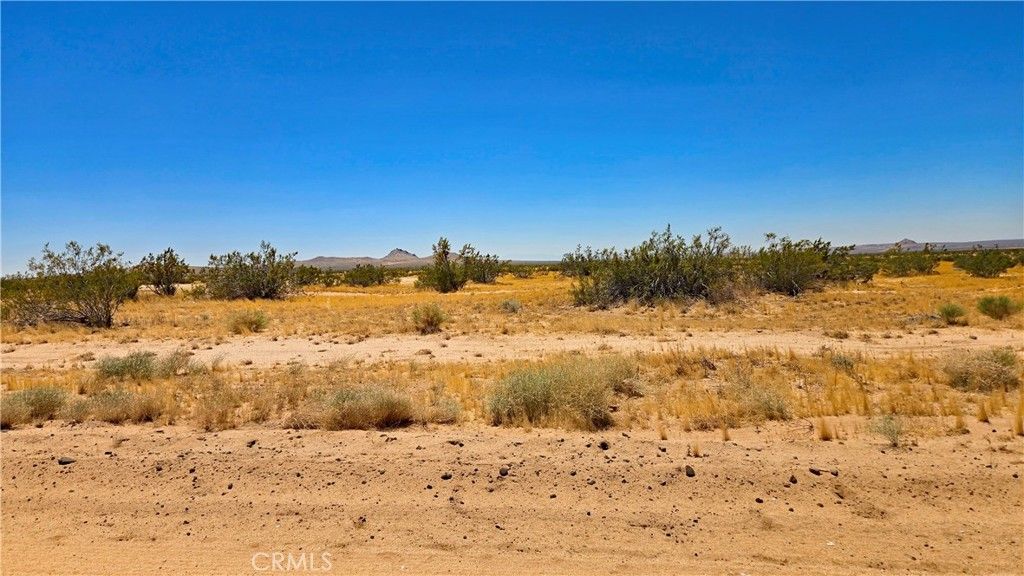 Image 10 of property listing at 0 Rudnick Blvd near 130th St, California City, CA 93505
