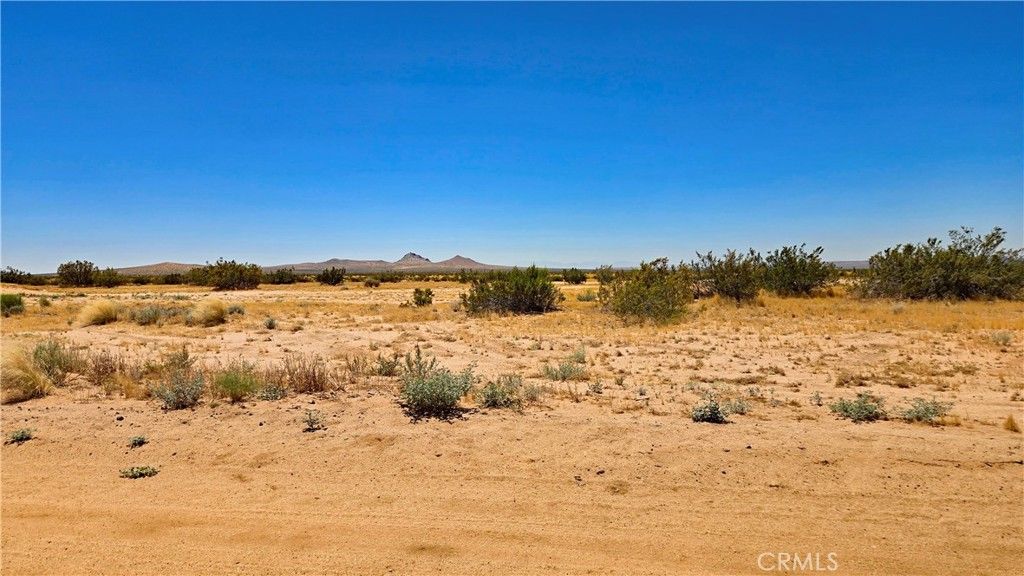 Image 14 of property listing at 0 Rudnick Blvd near 130th St, California City, CA 93505
