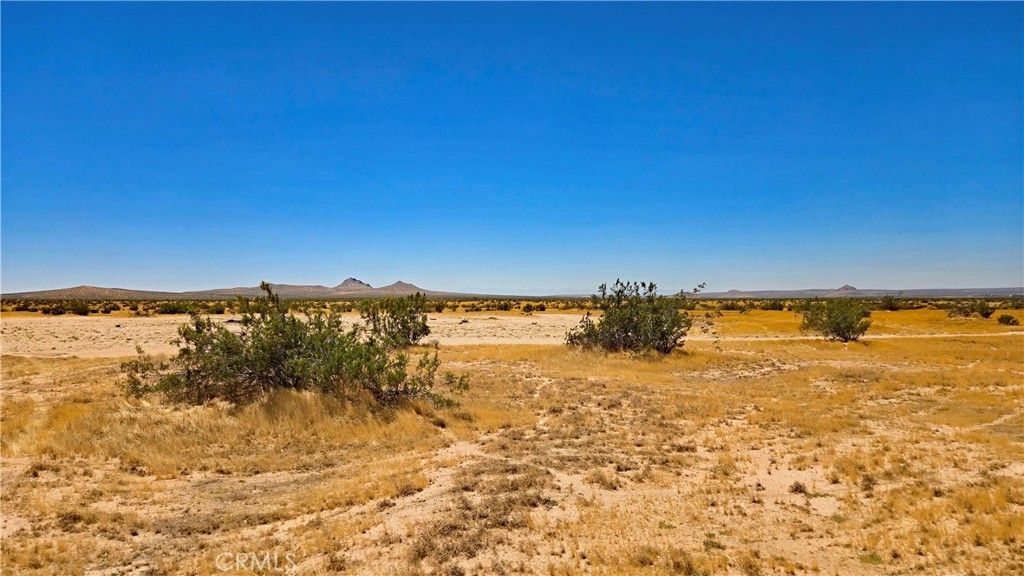 Image 19 of property listing at 0 Rudnick Blvd near 130th St, California City, CA 93505