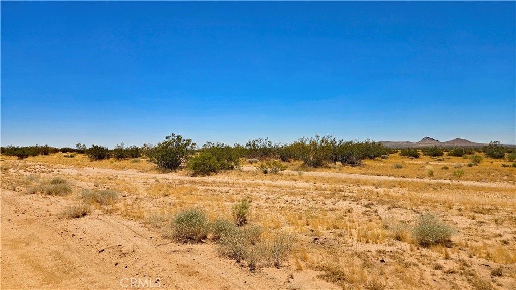 Image 2 of property listing at 0 Rudnick Blvd near 130th St, California City, CA 93505
