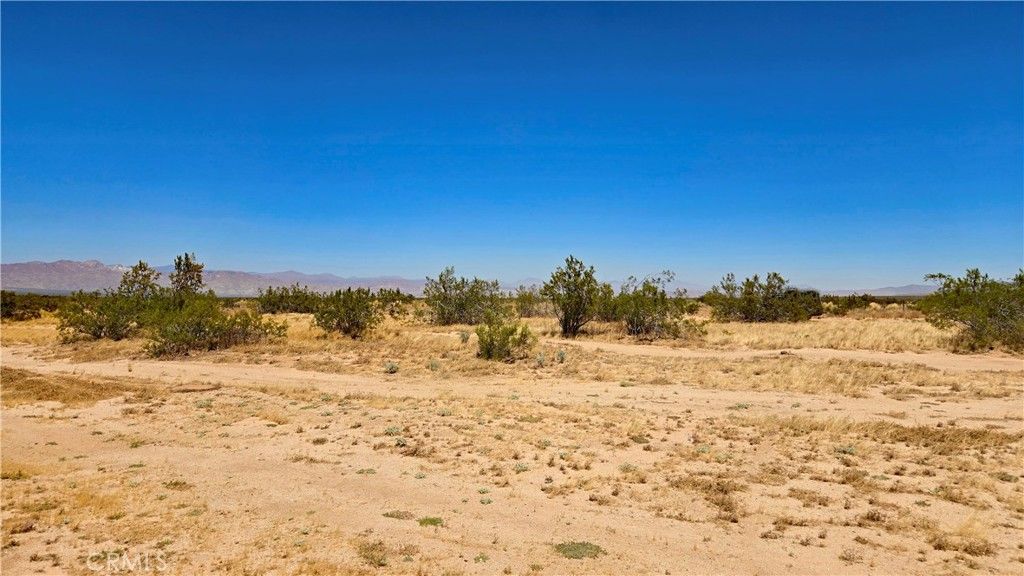 Image 23 of property listing at 0 Rudnick Blvd near 130th St, California City, CA 93505