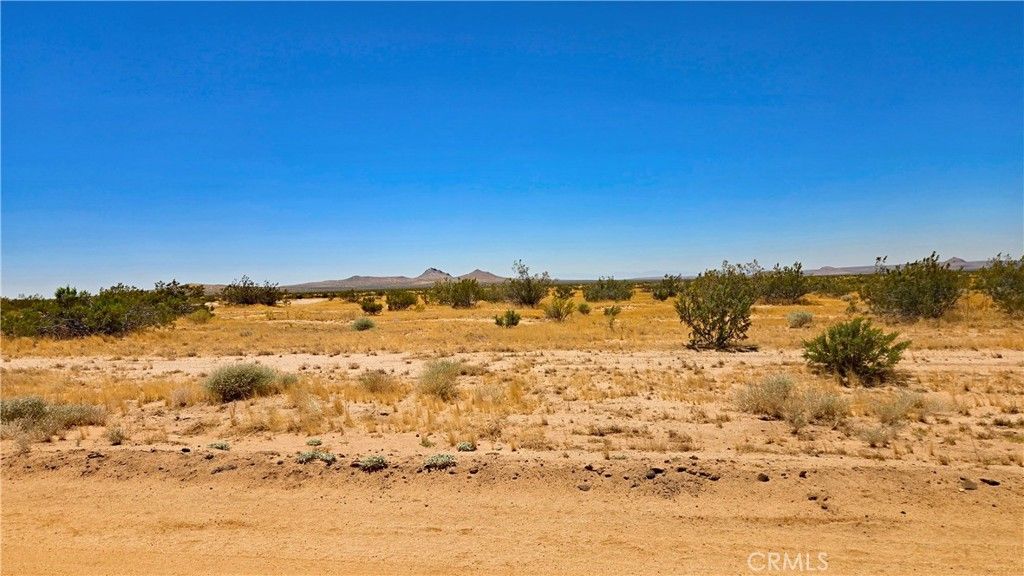 Image 7 of property listing at 0 Rudnick Blvd near 130th St, California City, CA 93505